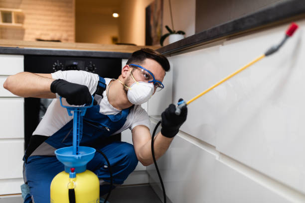Best Best Pest Control Companies  in Webster, TX