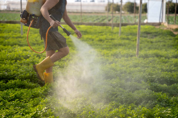 Best Affordable Exterminators  in Webster, TX