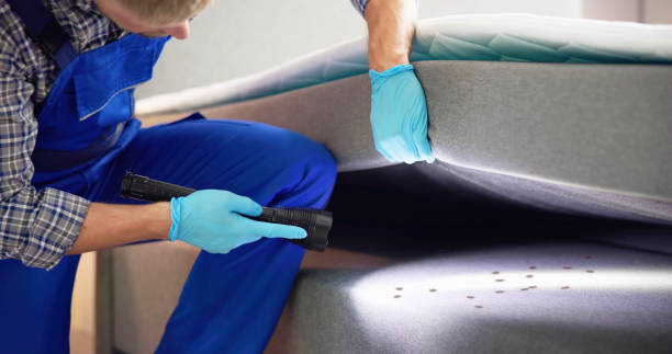 Reliable Webster, TX Pest Control Solutions
